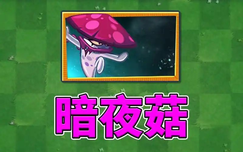 pvz2:新植物暗夜菇试玩!