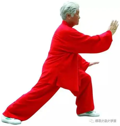 杨氏85式太极拳(一)
