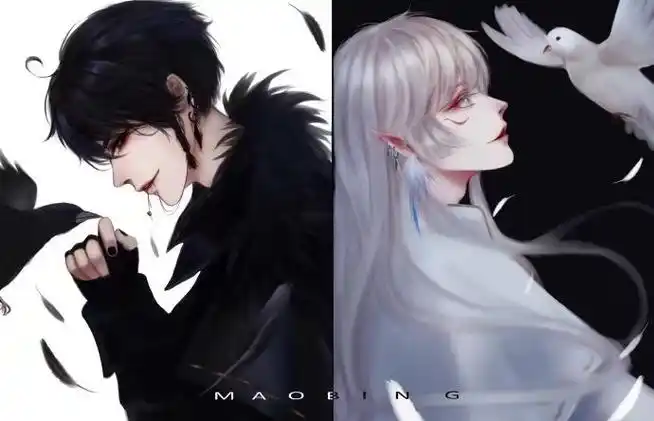 【拟人】乌鸦x白鸽 67676767作者@紧张的猫饼 67
