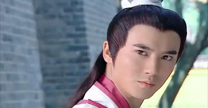 『欢天喜地七仙女』『马天龙』『禁二传』