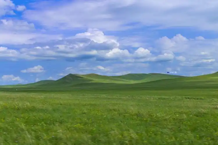 锡林郭勒千里草原风景大道沿途景色美不胜收最全攻略请收好