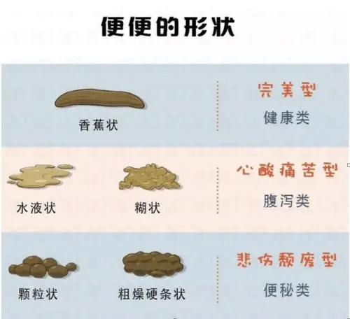 【便秘】向便秘缴械投"翔"?