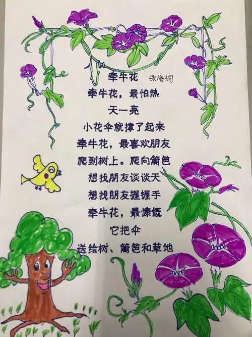张旖桐《牵牛花》