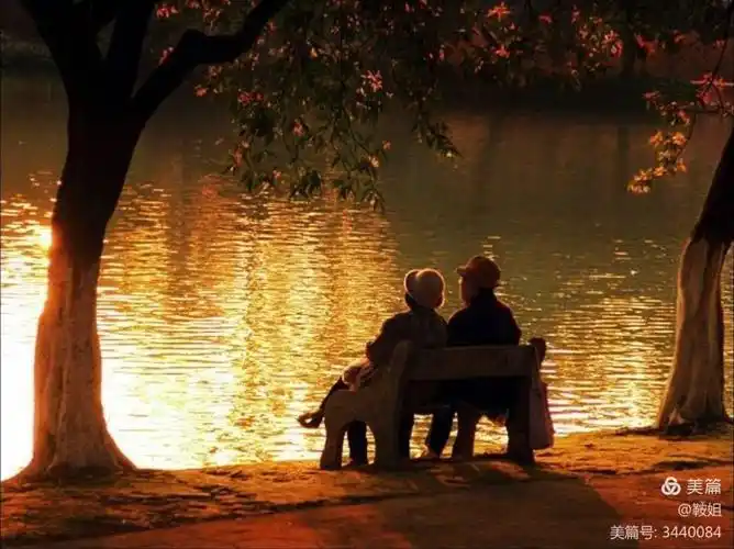 青山依旧在,几度夕阳红!(美到骨子里)说的真是太棒了!