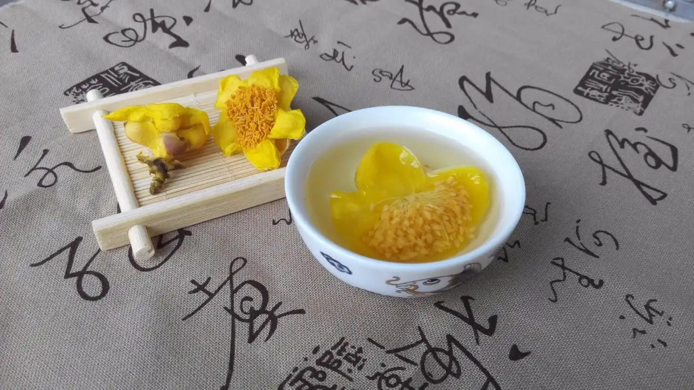 此茶花被誉为"植物大熊猫",花瓣金黄,花朵可观赏也可食用