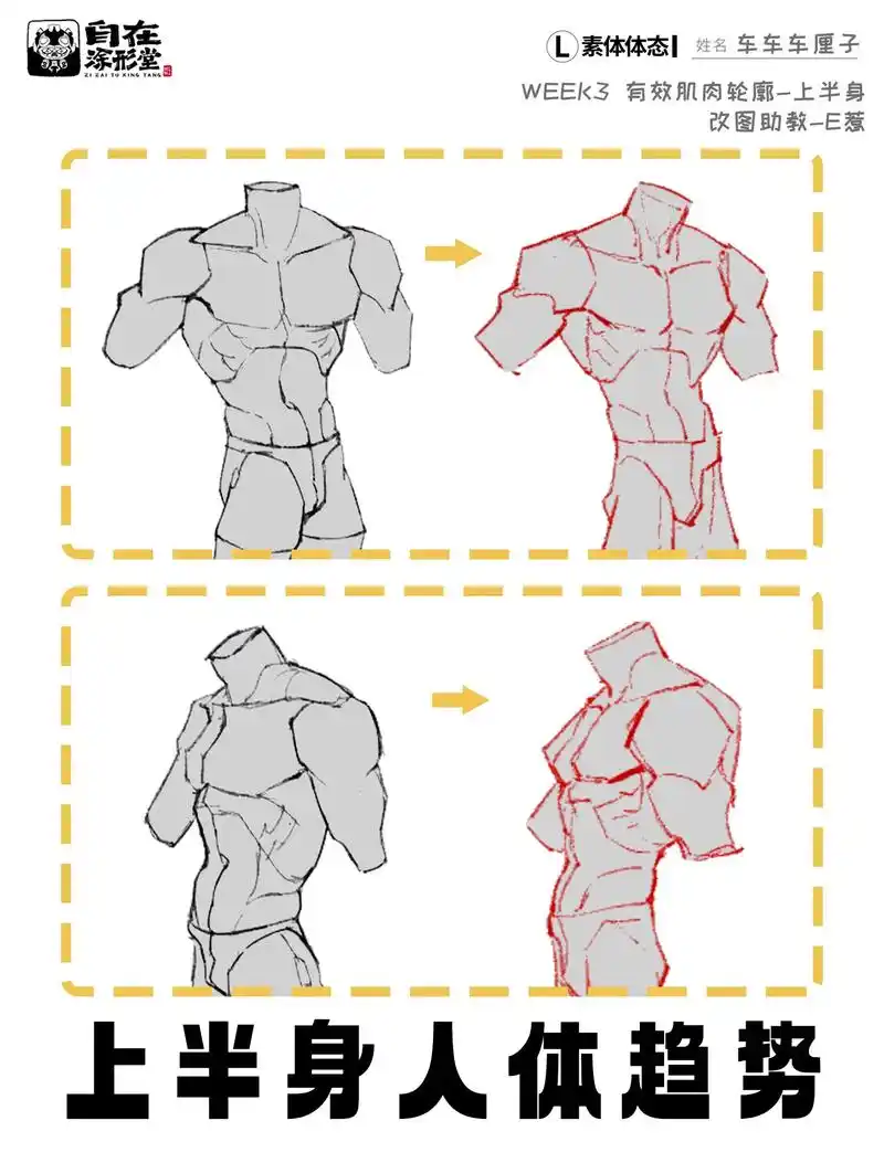 99腹肌(划去)99上半身人体怎么画.这里是角色设计【素体课 - 抖音