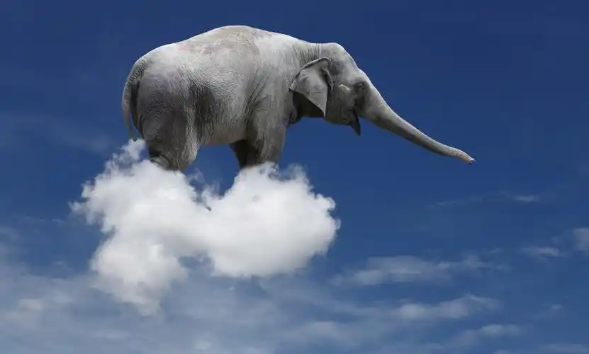 general brochure | calling all dreamers