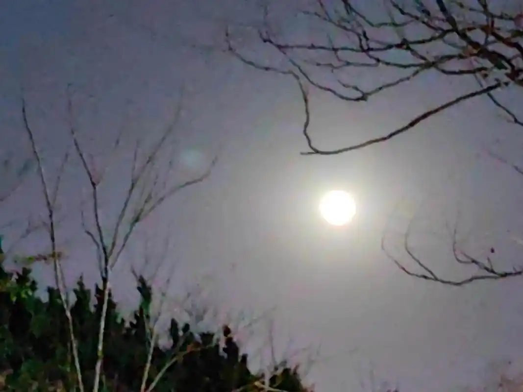 农历闰二月十七, 月亮圆润美丽! 冷冷的, 静逸的, 散发着 - 抖音