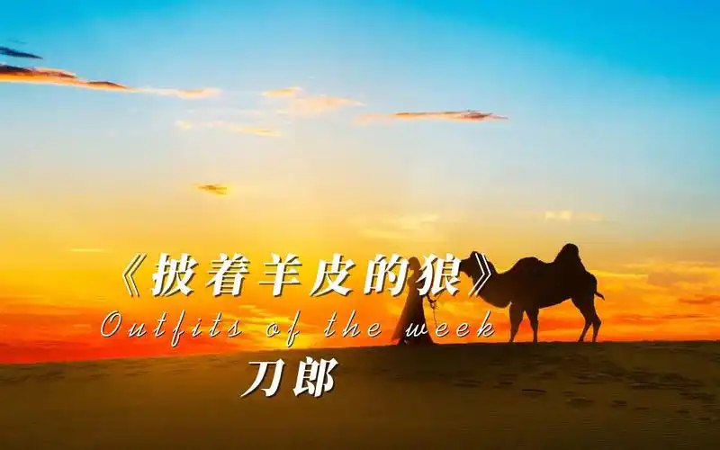 刀郎《披着羊皮的狼》完整版