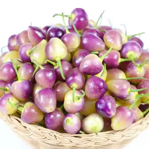 【现货直发】有货新鲜七彩椒广西特产五彩椒七色珍珠椒圆灯笼小辣椒现