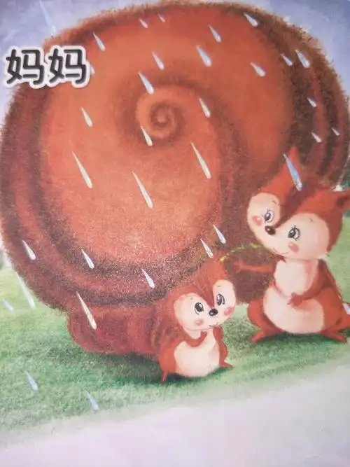 其它 妈妈 写美篇下雨了, 别让小松鼠淋着, 松鼠妈妈用她的大尾巴