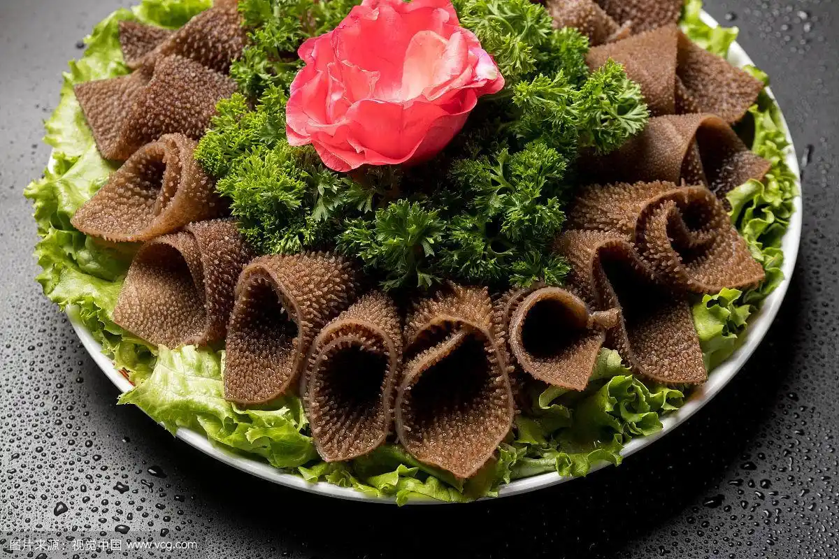 竹毛肚是什么『竹毛肚的功效与作用』