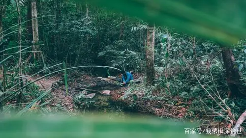 柬埔寨的豆蔻山脉