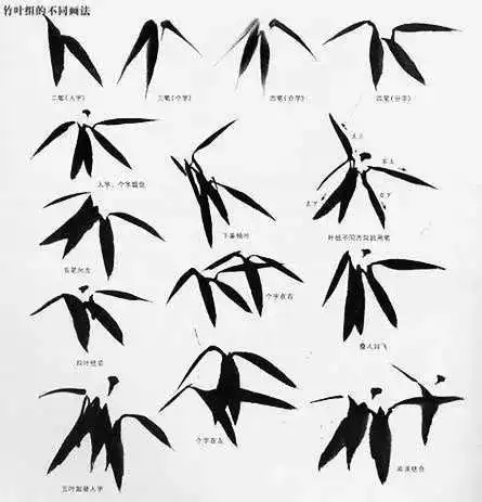 书画联盟丨竹叶的多种绘画技法