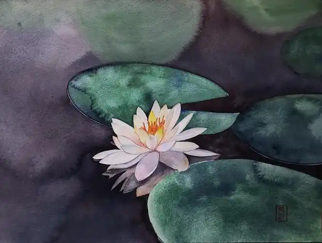 73/150 睡莲(完整的水彩诞生过程)