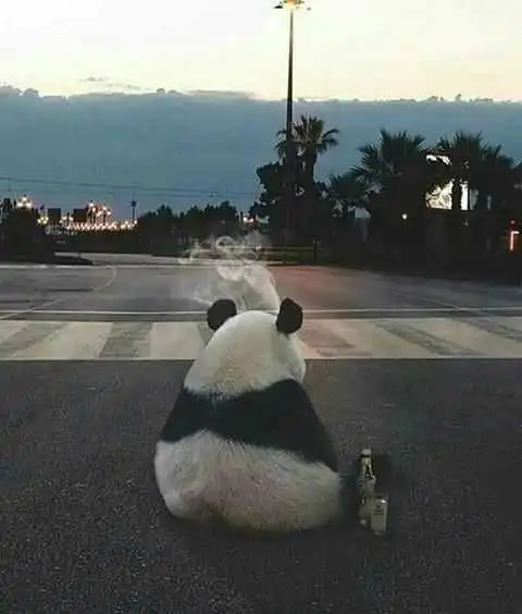 孤独的熊猫表情包-表情包网站