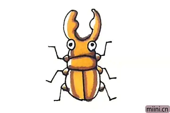 大锹形虫的简笔画 简笔画图片大全-蒲城教育文学网