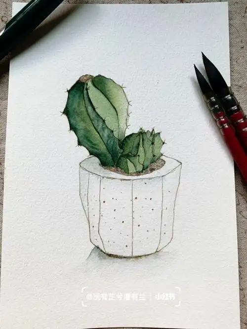自学水彩练习钢笔淡彩仙人掌day7