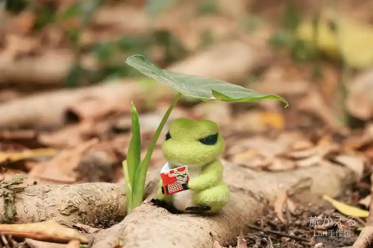 lari手作旅行青蛙羊毛毡