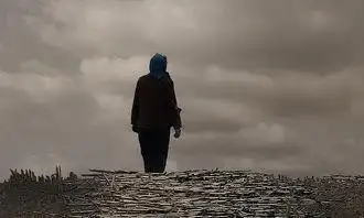 妈妈背影作文(妈妈的背影)