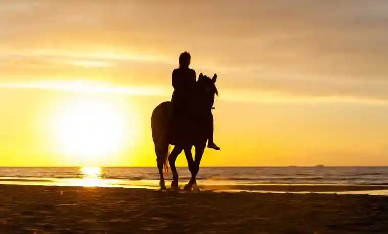 夕阳下骑马的女孩