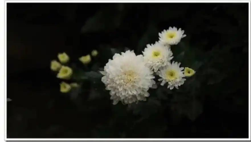 清明节吊唁去世的妈妈