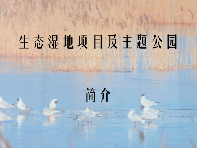 生态湿地及主题公园简介.pptx