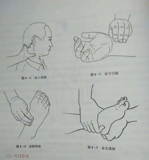 團4-5诊太溪脉图4-4诊趺阳脉團4-2诊人迎脉图4-3诊寸口脉三部诊法