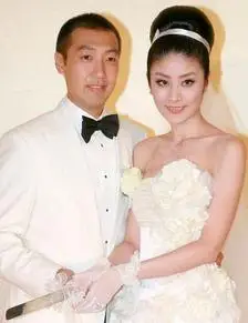 陈惠敏是陈慧琳叔叔吗