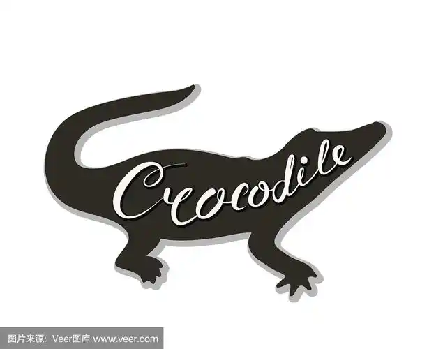 白色背景上的鳄鱼剪影
