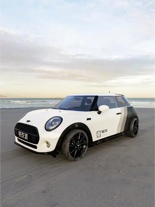 minicooper它它它又来啦787878这个夏季没有自驾