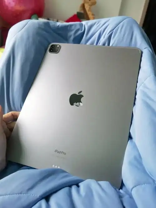 苹果ipadpro12.9英寸