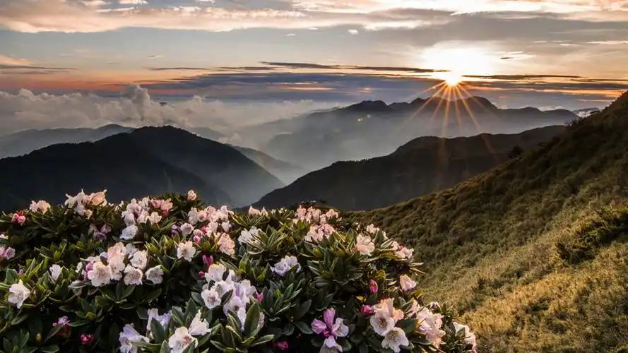 唯美的秋天美景图片桌面壁纸