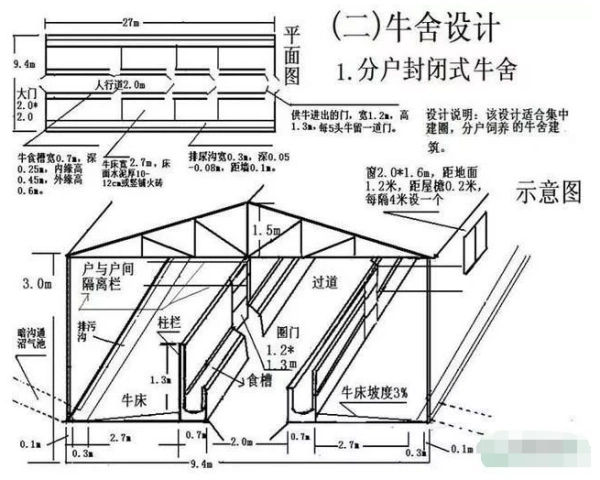 50头牛的牛棚设计图