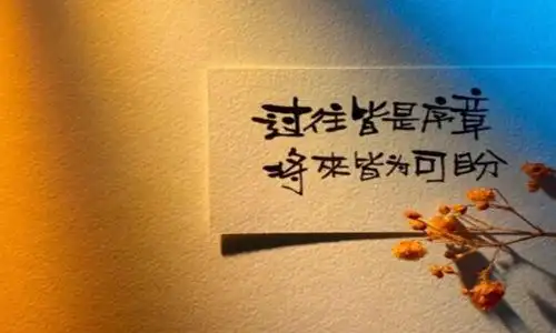 早安让人看了舒服的句子 适合发朋友圈的优美文案-第3张图片-51乐学网