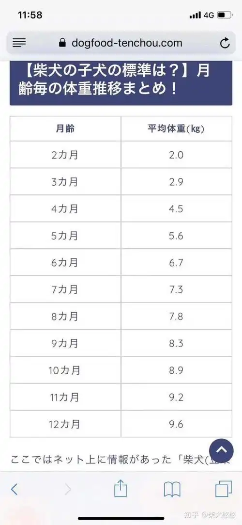 是柴犬,体重还是蛮标准的.