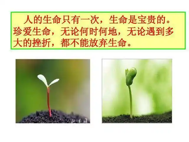 请珍惜生命沧州一男子跳河轻生因为感情那点事警察都来了