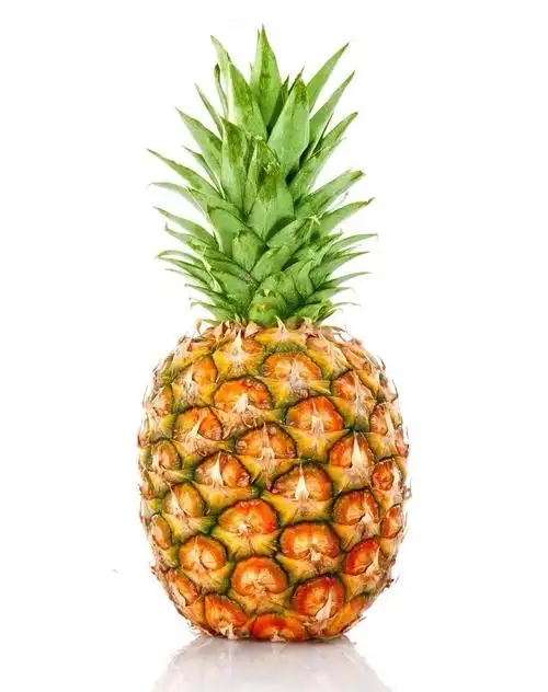 2019-4-2 《 酸酸甜甜的凤梨》