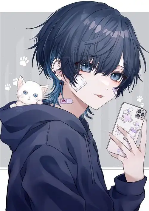 二次元男生头像分享 卫衣男子特辑p站美图欣赏