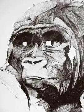 国外手绘大猩猩速写插画