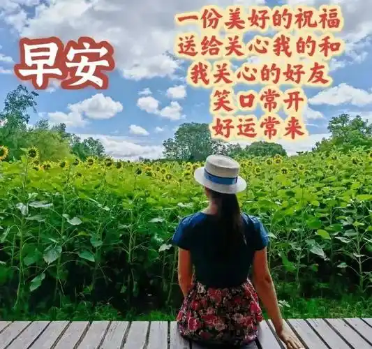 原创5月17日最有创意好看的早安早上好图片带字2022唯美早安问候祝福