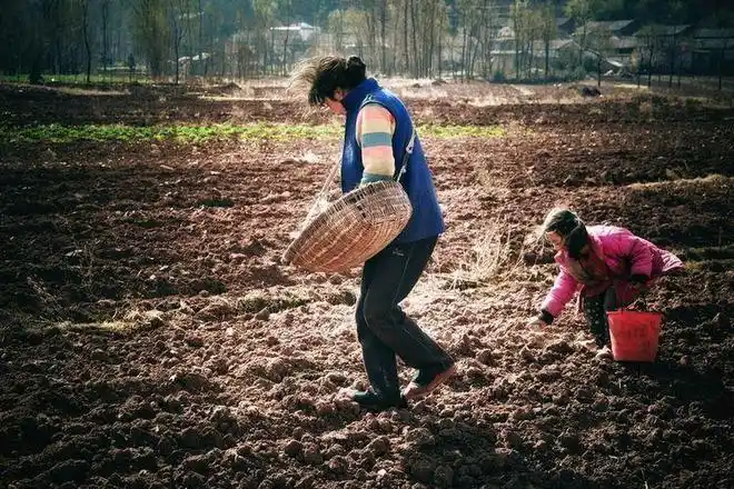 90后妈妈背着刚出生的宝宝和60斤的重物干活