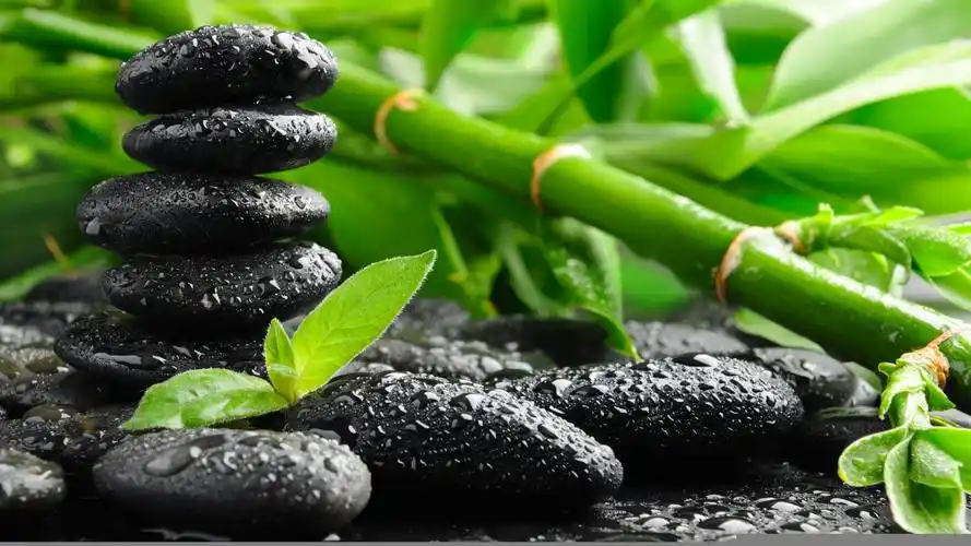 黑色石头绿色竹子护眼桌面壁纸