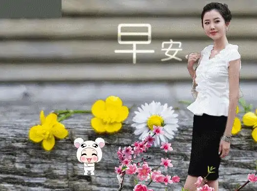 5张特别漂亮的美女早安图片表情,早安问候祝福语短信