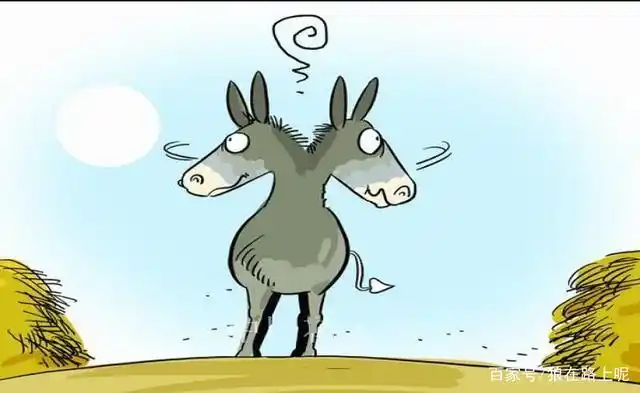 左右为难,该选哪一个?