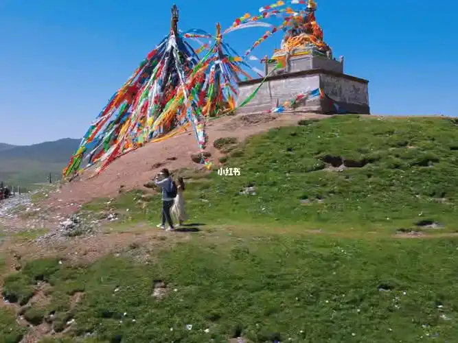 日月山经幡飘动我在海拔四千米为你祈福