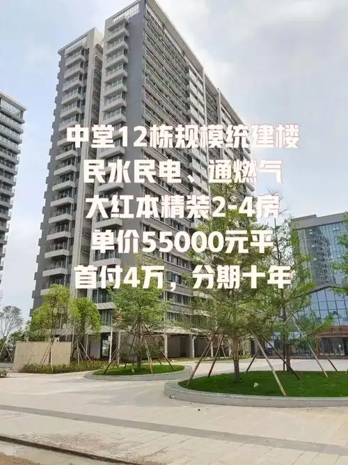 中堂12栋花园小区