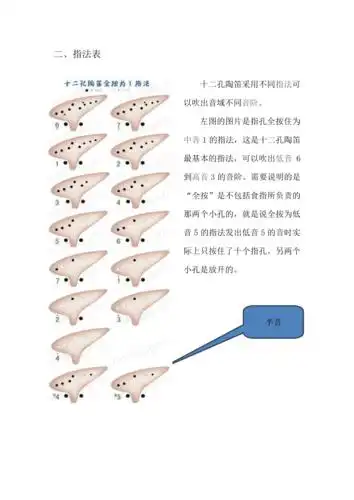 十二孔陶笛自学教程doc