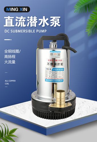 高扬程农用新款直流潜水泵12v24v48v60v潜水泵电动车家用农用电泵
