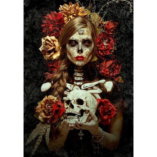 diy数字油画自己填色魔鬼女孩鲜花骷髅美女恐怖万圣节家居装饰画